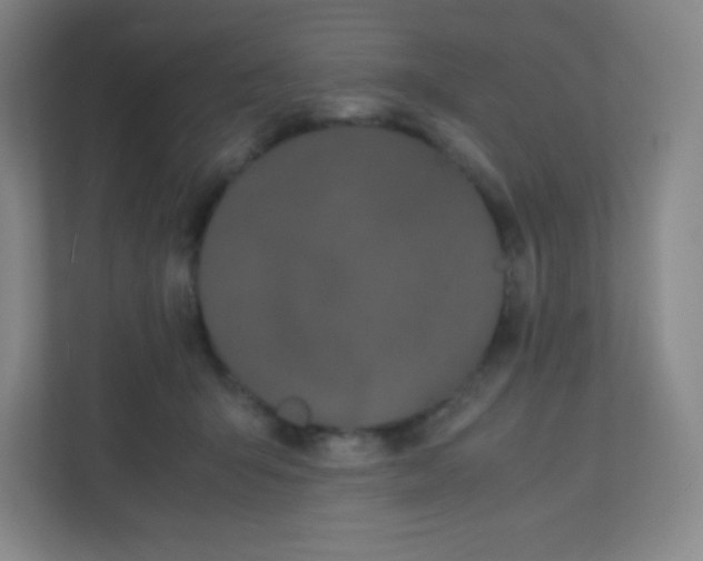 X0000110770415200906291052