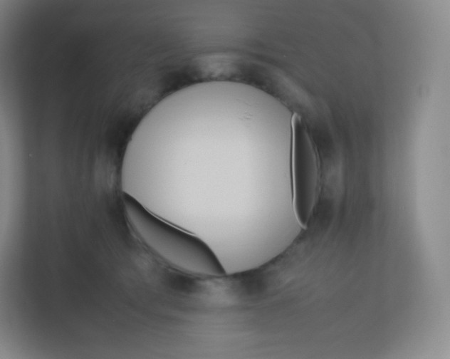 X0000110770417200906291052