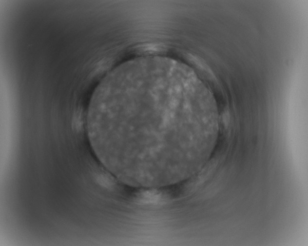 X0000110770423200906291052