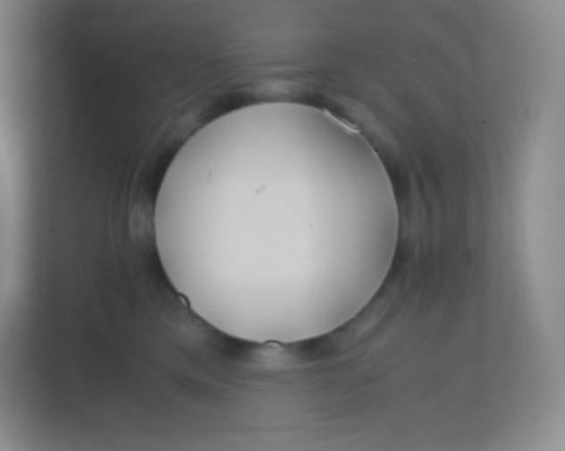 X0000110770425200906291052