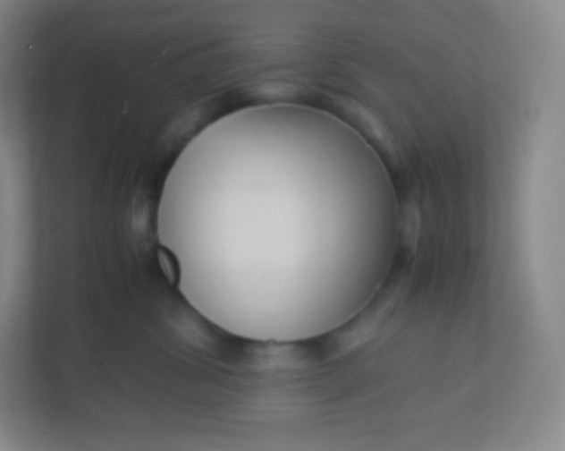 X0000110770428200906291052