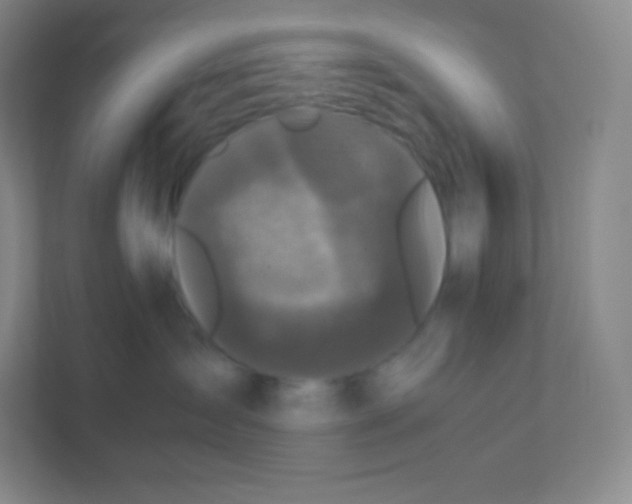 X0000110770431200906291052