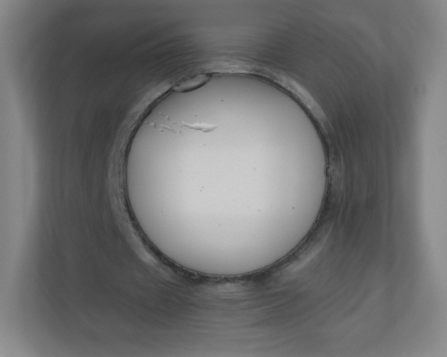 X0000110770433200906291051