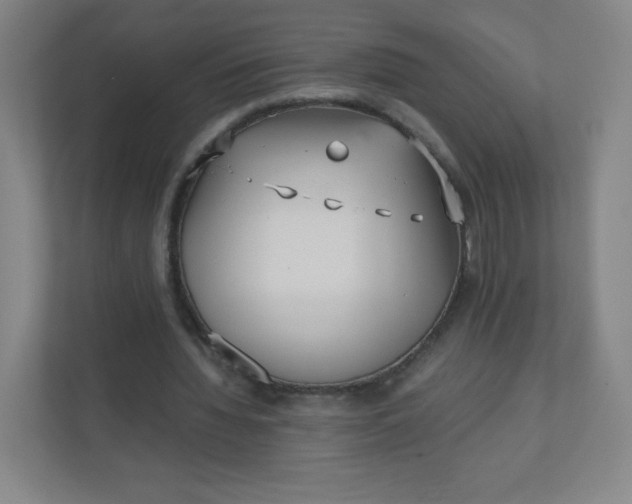 X0000110770436200906291051