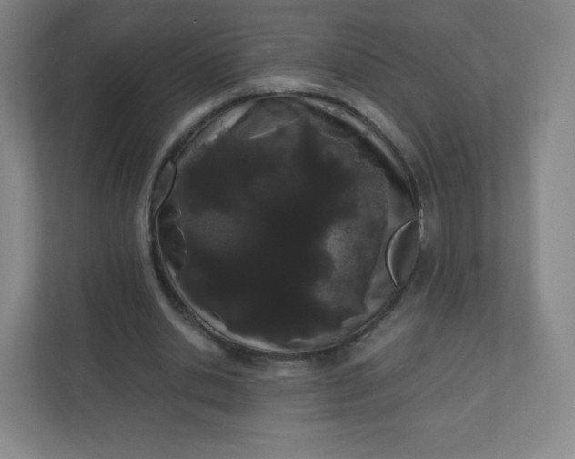 X0000110770438200906291051