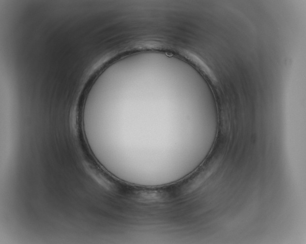 X0000110770439200906291051