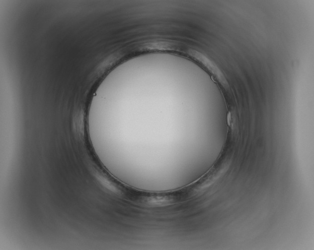 X0000110770445200906291051