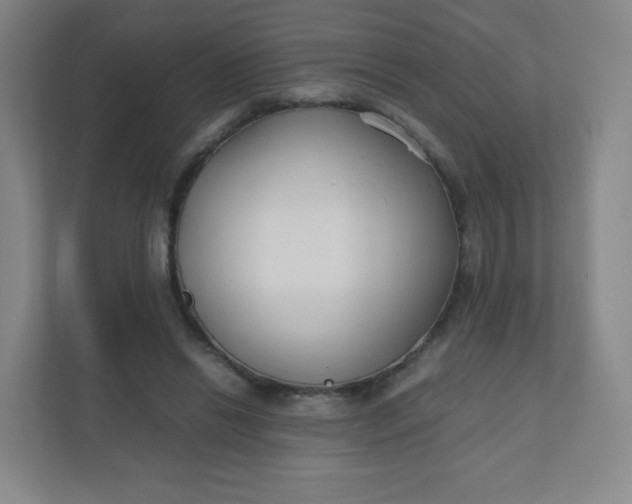 X0000110770446200906291051