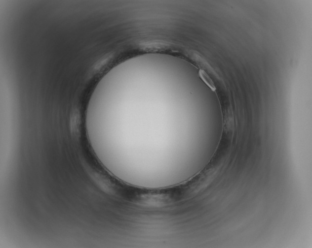 X0000110770448200906291051