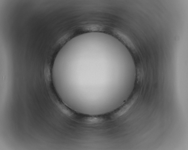 X0000110770453200906291051