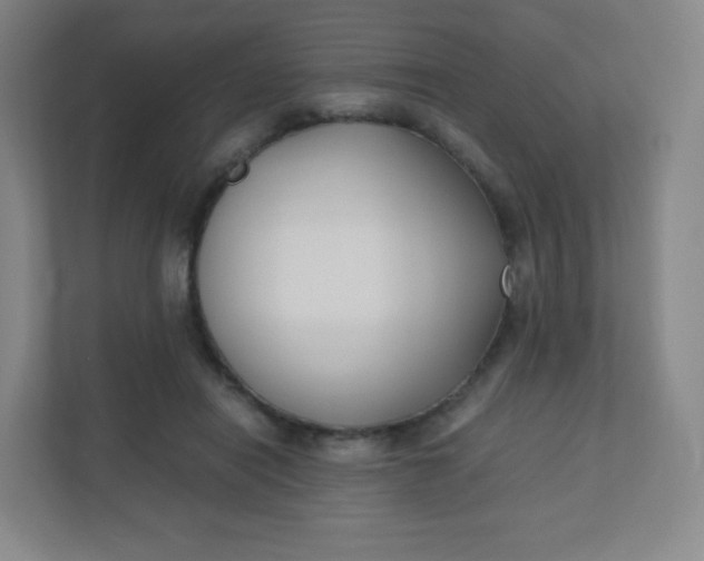 X0000110770454200906291051