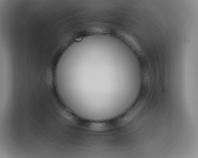 X0000110770457200906291051