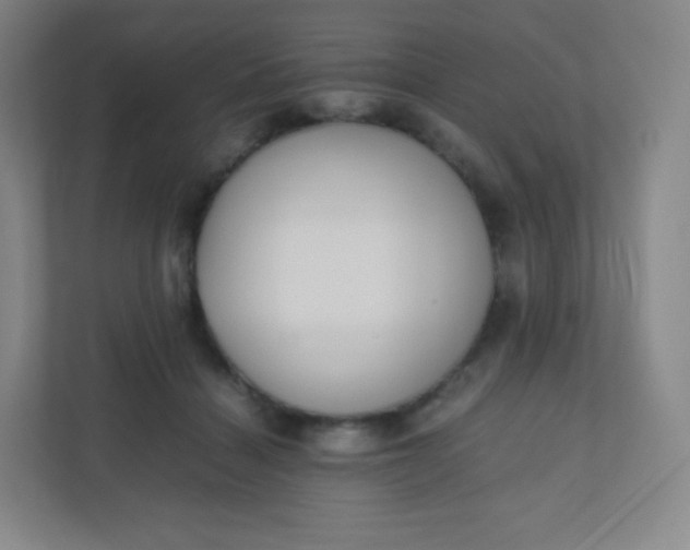 X0000110770460200906291051