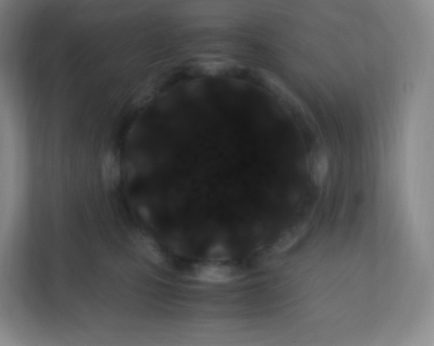 X0000110770471200906291051