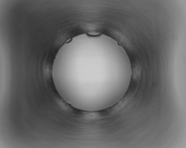 X0000110770476200906291052