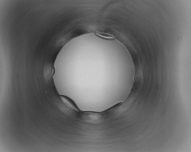 X0000110770478200906291052