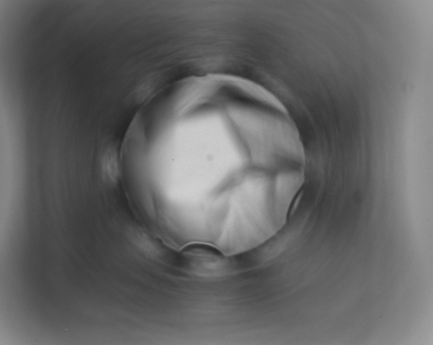 X0000110770479200906291052