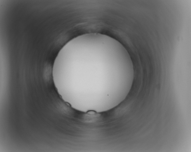 X0000110770480200906291052