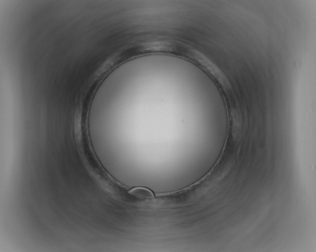 X0000110770482200906291051