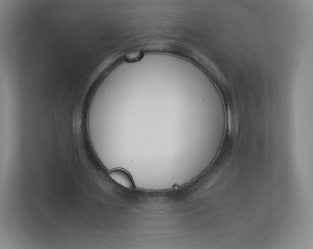 X0000110770483200906291051