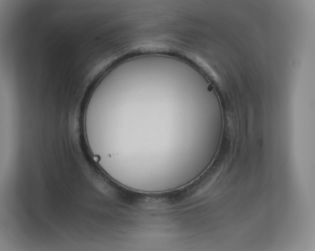 X0000110770487200906291051