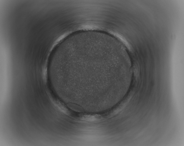 X0000110770488200906291051