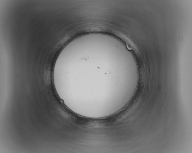 X0000110770489200906291051