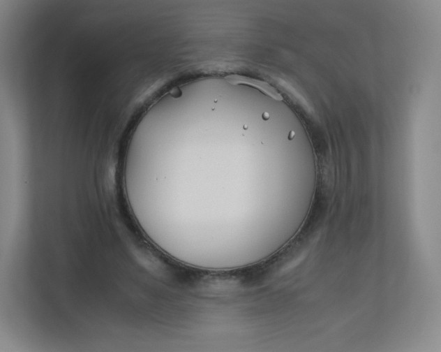 X0000110770491200906291051