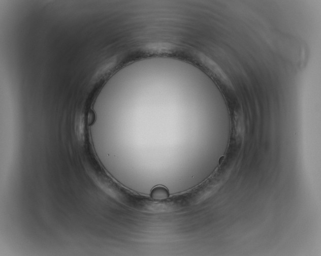 X0000110770494200906291051