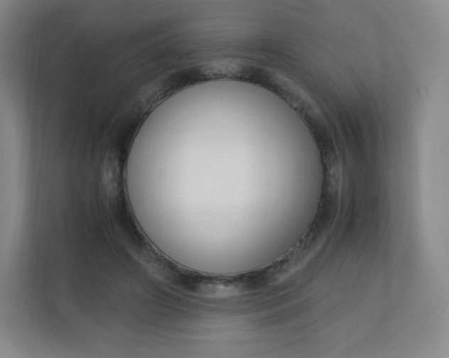 X0000110770498200906291051