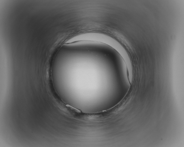 X0000110770501200906291051