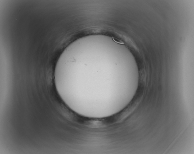 X0000110770509200906291051