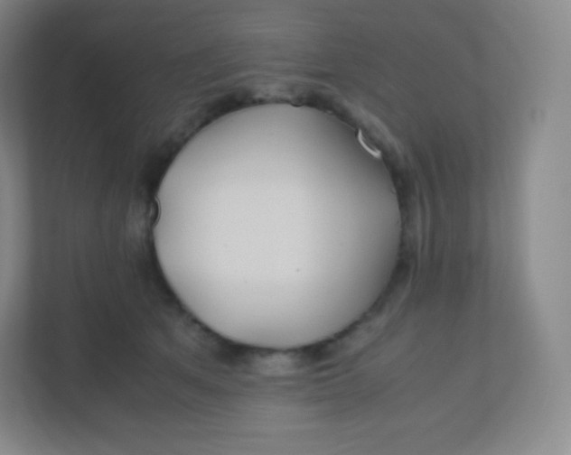 X0000110770513200906291051