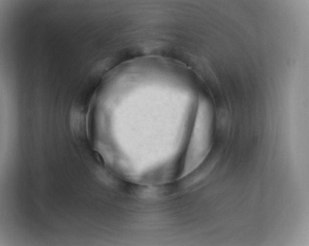 X0000110770527200906291050