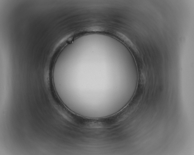 X0000110770535200906291050