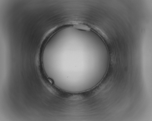 X0000110770536200906291050