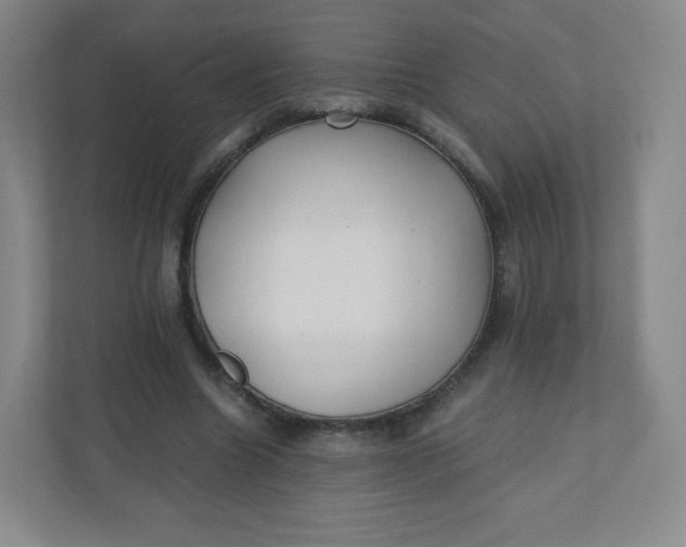 X0000110770538200906291050