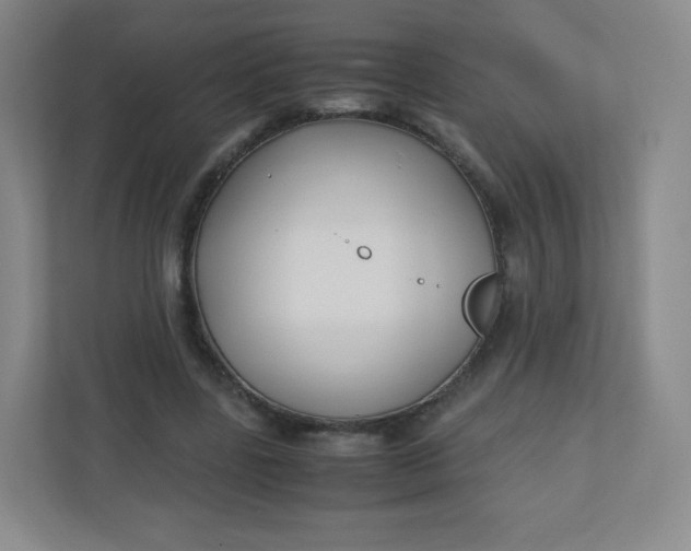 X0000110770539200906291050