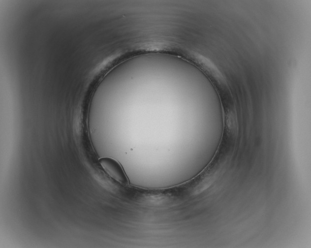 X0000110770540200906291050