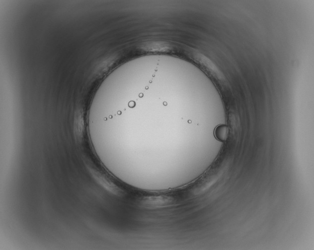 X0000110770541200906291050