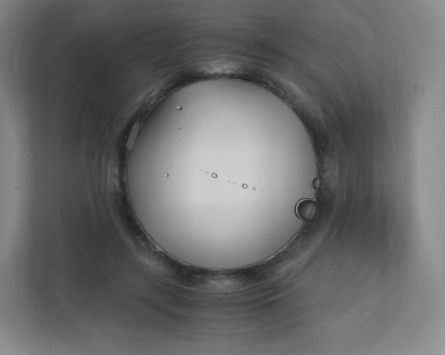 X0000110770547200906291050