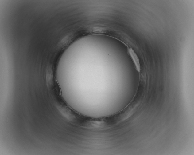 X0000110770552200906291050