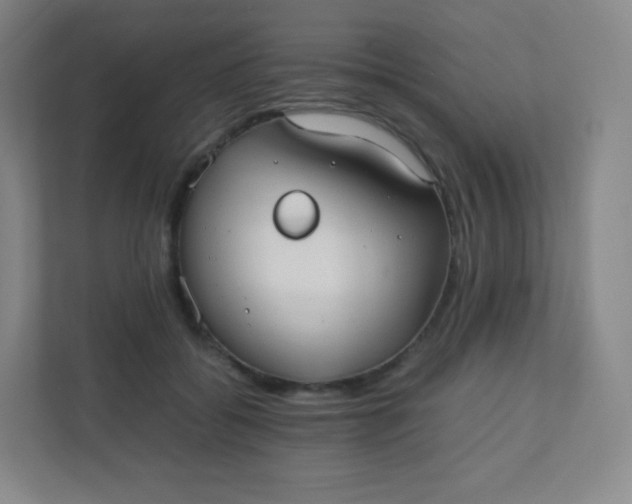 X0000110770556200906291050