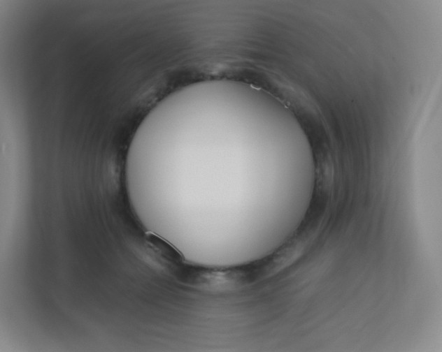 X0000110770558200906291050