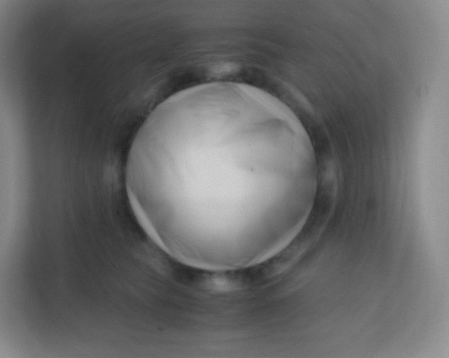 X0000110770565200906291050