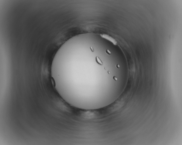 X0000110770566200906291050