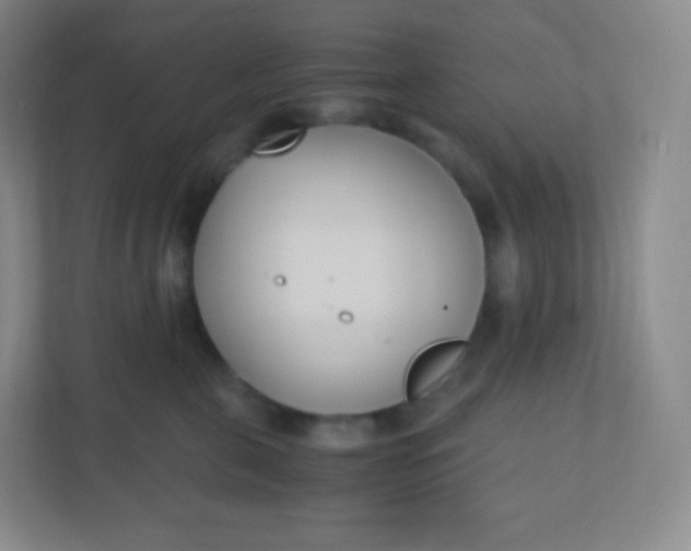 X0000110770571200906291050