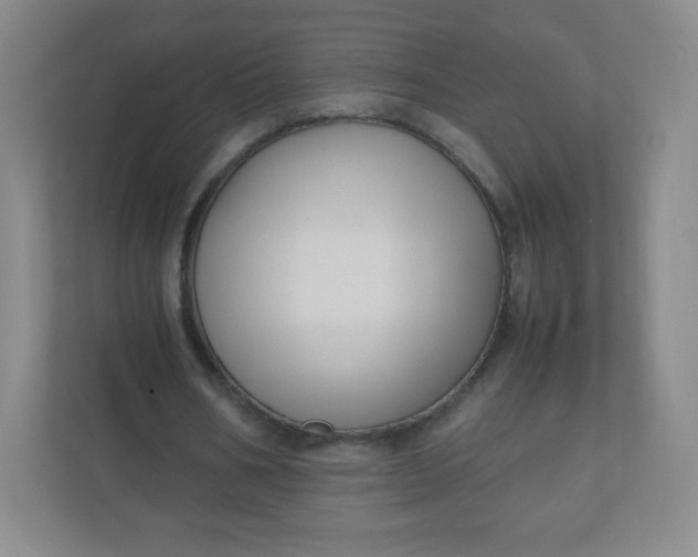 X0000110770578200906291050