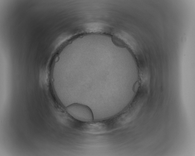 X0000110770583200906291050