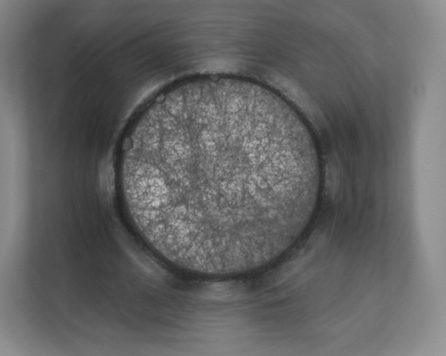 X0000110770584200906291050